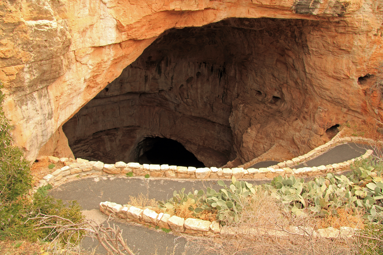 Environmental Rights Group Sues to Protect Carlsbad Caverns from Oil and Gas Development